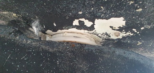 Engine-20251021_093010