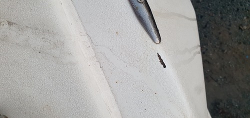 Gelcoat-2026-06-27_054052