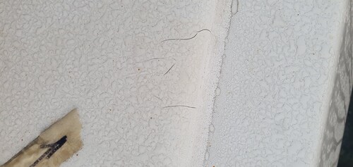 Gelcoat-2026-06-27_054059