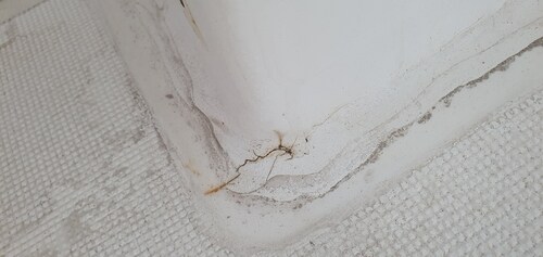 Gelcoat-2026-06-27_054126