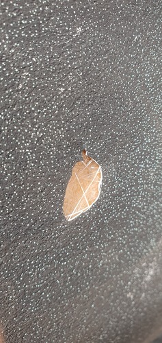 Hull-20251018_145850