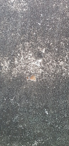 Hull-20251213_092224